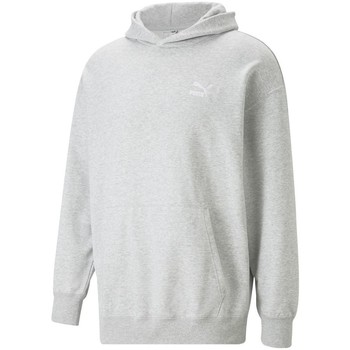 Textiel Heren Sweaters / Sweatshirts Puma Fd Cla Rlx Hdy Tr Grijs