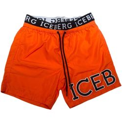Textiel Heren Zwembroeken/ Zwemshorts Iceberg  Oranje