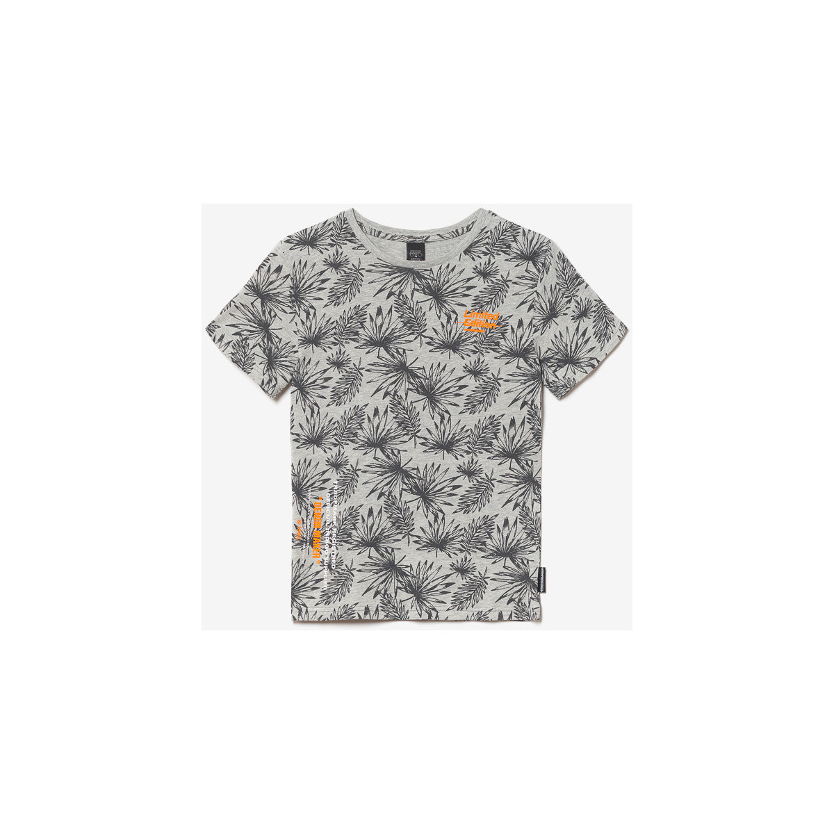 Textiel Jongens T-shirts & Polo’s Le Temps des Cerises T-shirt NORIBO Bruin