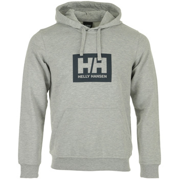 Textiel Heren Sweaters / Sweatshirts Helly Hansen Tokyo Hoodie Grijs