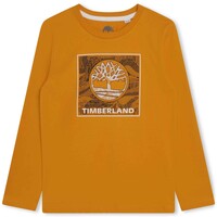 Textiel Jongens T-shirts korte mouwen Timberland T25U36-575-C Geel