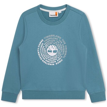 Textiel Jongens Sweaters / Sweatshirts Timberland T25U55-875-J Blauw