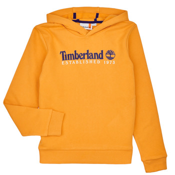 Textiel Jongens Sweaters / Sweatshirts Timberland T25U56-575-C Geel