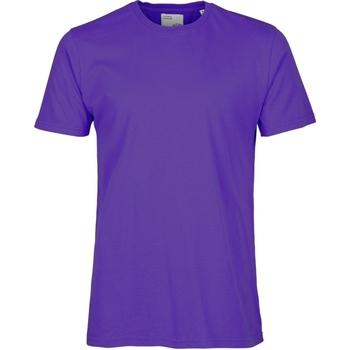 Textiel T-shirts korte mouwen Colorful Standard T-shirt  Classic Organic ultra violet Violet