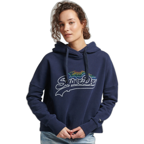 Textiel Dames Sweaters / Sweatshirts Superdry Sweatshirt à capuche à motif arc-en-ciel et logo femme Blauw