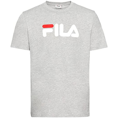Textiel Heren T-shirts & Polo’s Fila  Grijs