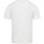 Textiel Heren T-shirts & Polo’s Dstrezzed Mc Queen T-shirt Melange Wit Wit