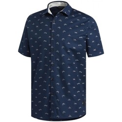 Textiel Heren Overhemden korte mouwen adidas Originals Adcrs Srtch Wvn Blauw