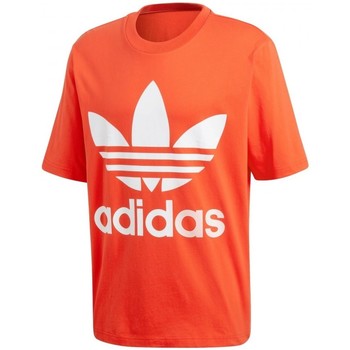 Textiel Heren T-shirts & Polo’s adidas Originals Oversized Tee Oranje