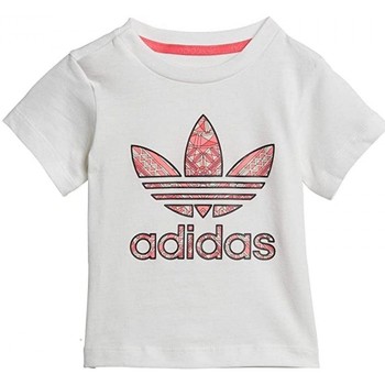 Textiel Kinderen T-shirts korte mouwen adidas Originals I Grphc Ms Tee Wit