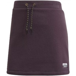 Textiel Dames Rokken adidas Originals Skirt Violet
