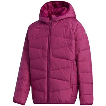 Textiel Kinderen Wind jackets adidas Originals Yk Frosty Jkt Violet