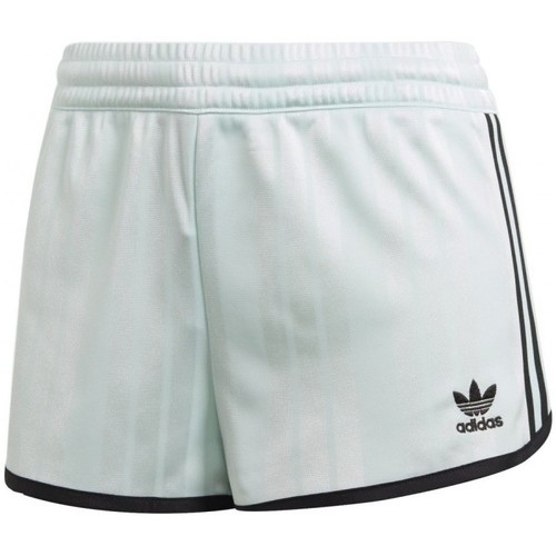 Textiel Dames Korte broeken / Bermuda's adidas Originals Shorts Groen