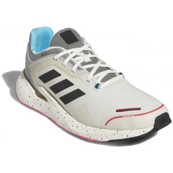 Schoenen Heren Running / trail adidas Originals Alphatorsion C.Rdy M Wit