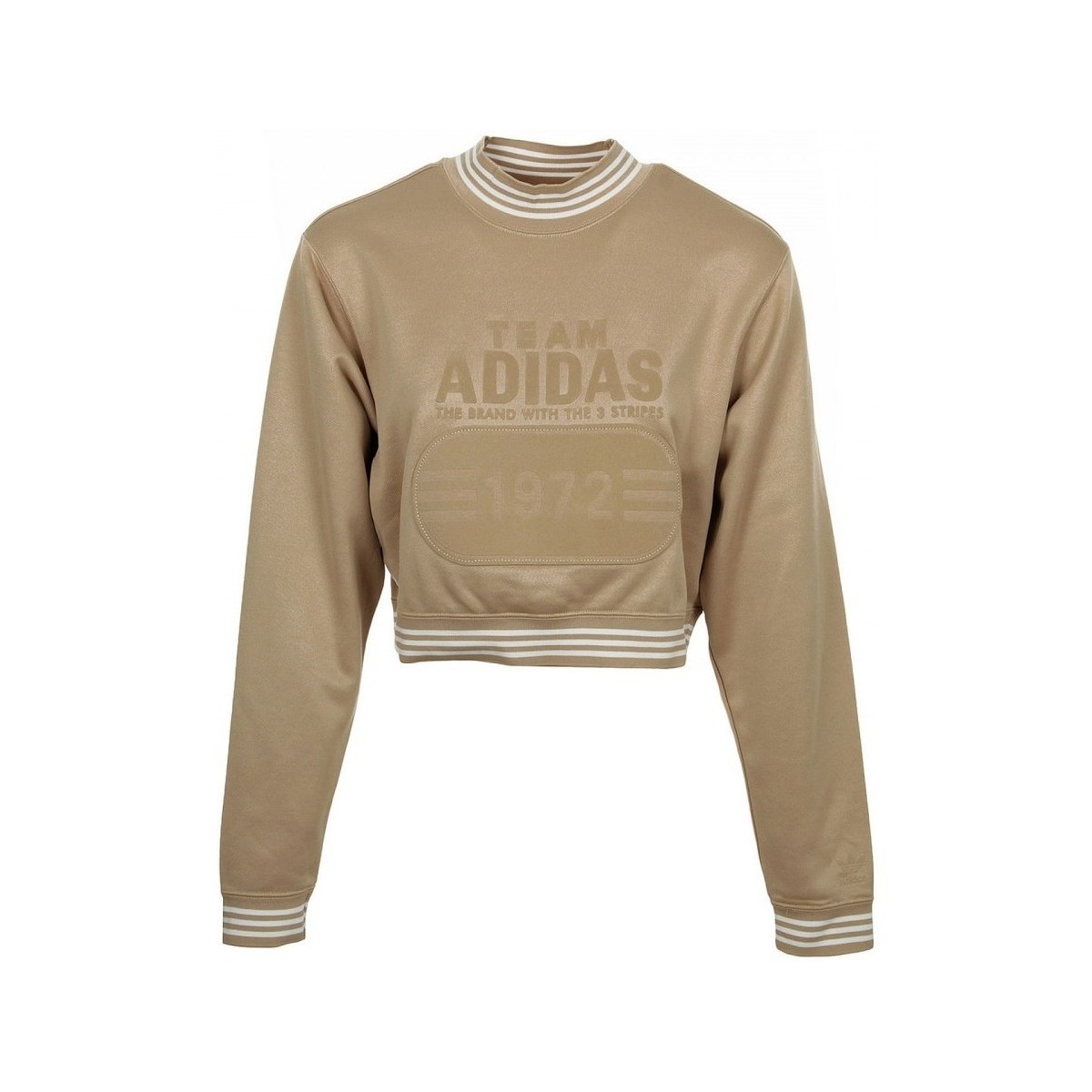 Textiel Dames Sweaters / Sweatshirts adidas Originals Fashion League Sweat Bruin