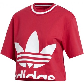 Textiel Dames T-shirts & Polo’s adidas Originals Cropped Tee W Roze