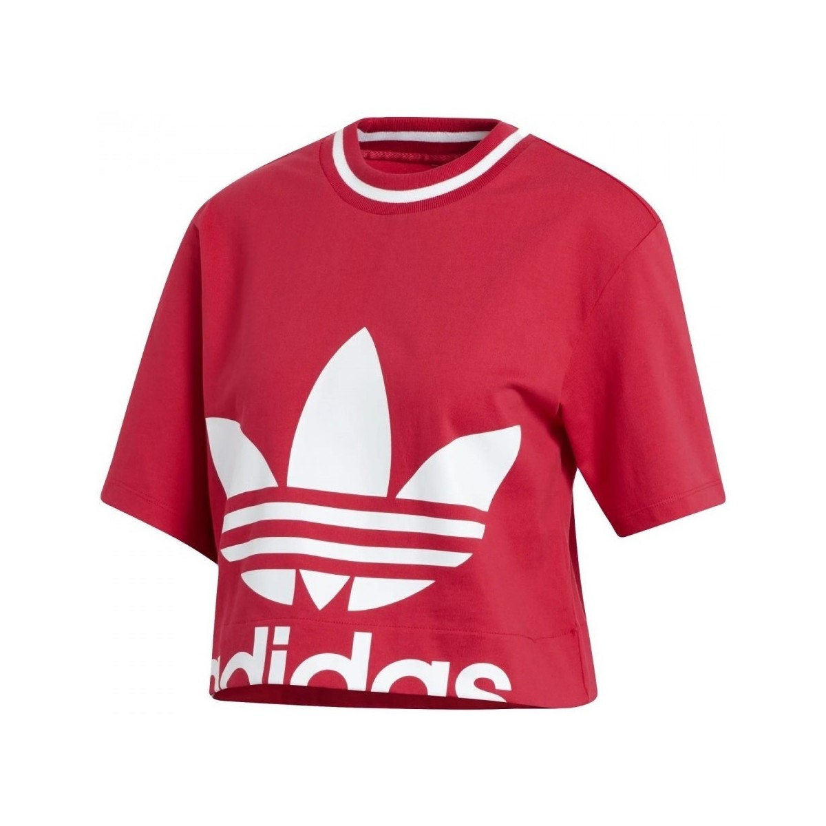 Textiel Dames T-shirts & Polo’s adidas Originals Cropped Tee W Roze