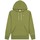 Textiel Heren Sweaters / Sweatshirts Champion Reverse Weave Small Logo Hooded Sweatshirt Groen
