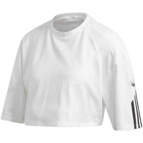 Textiel Dames T-shirts & Polo’s adidas Originals T Shirt Crop Wit
