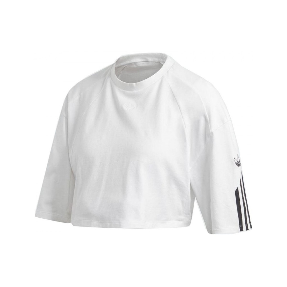 Textiel Dames T-shirts & Polo’s adidas Originals T Shirt Crop Wit