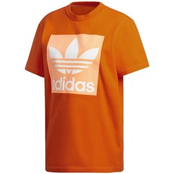 Textiel Dames T-shirts & Polo’s adidas Originals Bf Tee Oranje