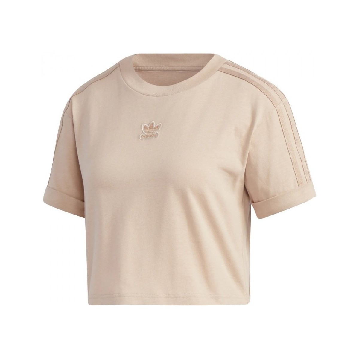 Textiel Dames T-shirts & Polo’s adidas Originals Cropped T-Shirt Beige