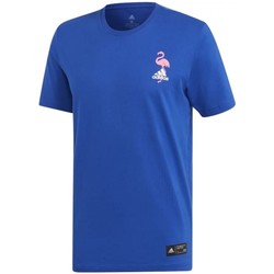Textiel Jongens T-shirts korte mouwen adidas Originals Paradise T-Shirts Blauw