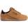 Schoenen Heren Lage sneakers adidas Originals Continental 80 J Bruin