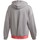 Textiel Meisjes Sweaters / Sweatshirts adidas Originals G Up2Mv A.R. Cu Grijs