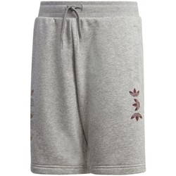 Textiel Kinderen Korte broeken / Bermuda's adidas Originals Lnr Logo Short Grijs