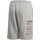 Textiel Kinderen Korte broeken / Bermuda's adidas Originals Lnr Logo Short Grijs