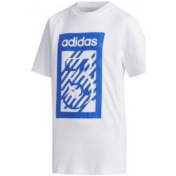 Textiel Jongens T-shirts korte mouwen adidas Originals Yb Box Tee Wit