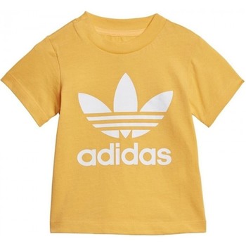 Textiel Kinderen T-shirts korte mouwen adidas Originals Trefoil Tee Goud