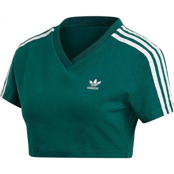 Textiel Dames T-shirts & Polo’s adidas Originals Cropped Tee Groen