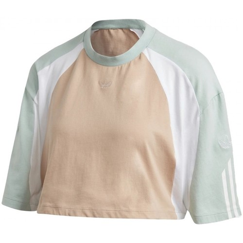 Textiel Dames T-shirts & Polo’s adidas Originals Croppedt Shirt Groen