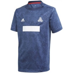 Textiel Jongens T-shirts korte mouwen adidas Originals Jb T Aop Jsy Blauw