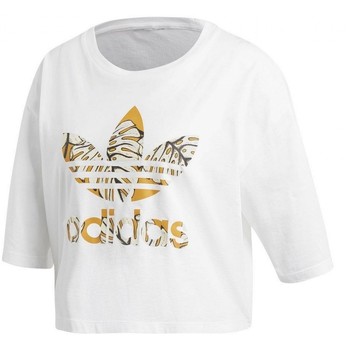Textiel Dames T-shirts & Polo’s adidas Originals Cropped Wit