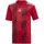 Textiel Jongens T-shirts korte mouwen adidas Originals Striped 19 Jsyy Rood