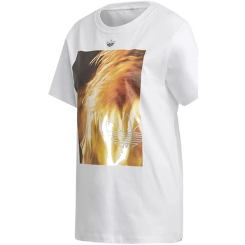 Textiel Dames T-shirts & Polo’s adidas Originals Graphic T Shirt Wit