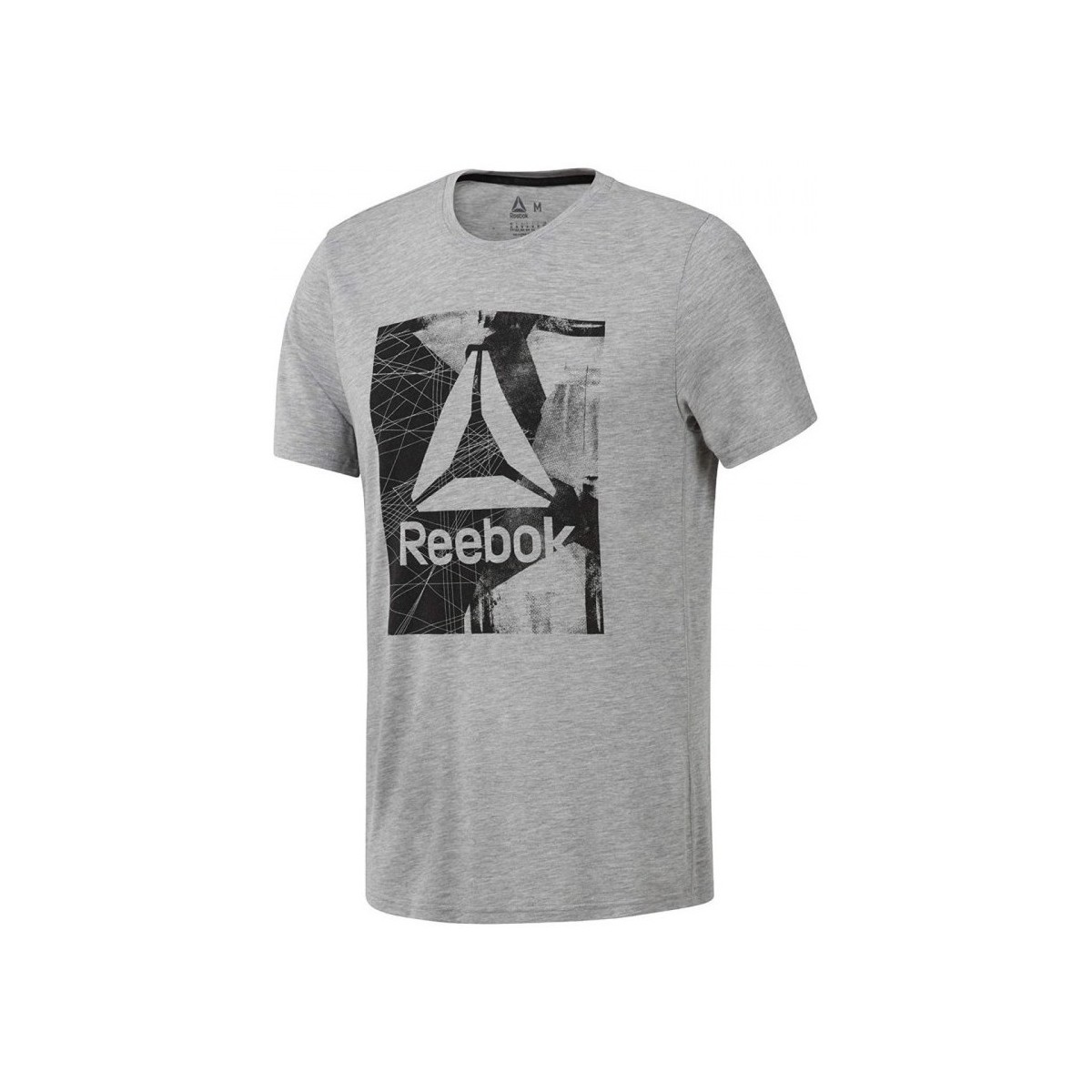 Textiel Heren T-shirts & Polo’s Reebok Sport Workout Ready Supremium Graphic Grijs