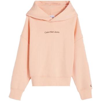 Textiel Meisjes Sweaters / Sweatshirts Calvin Klein Jeans  Oranje