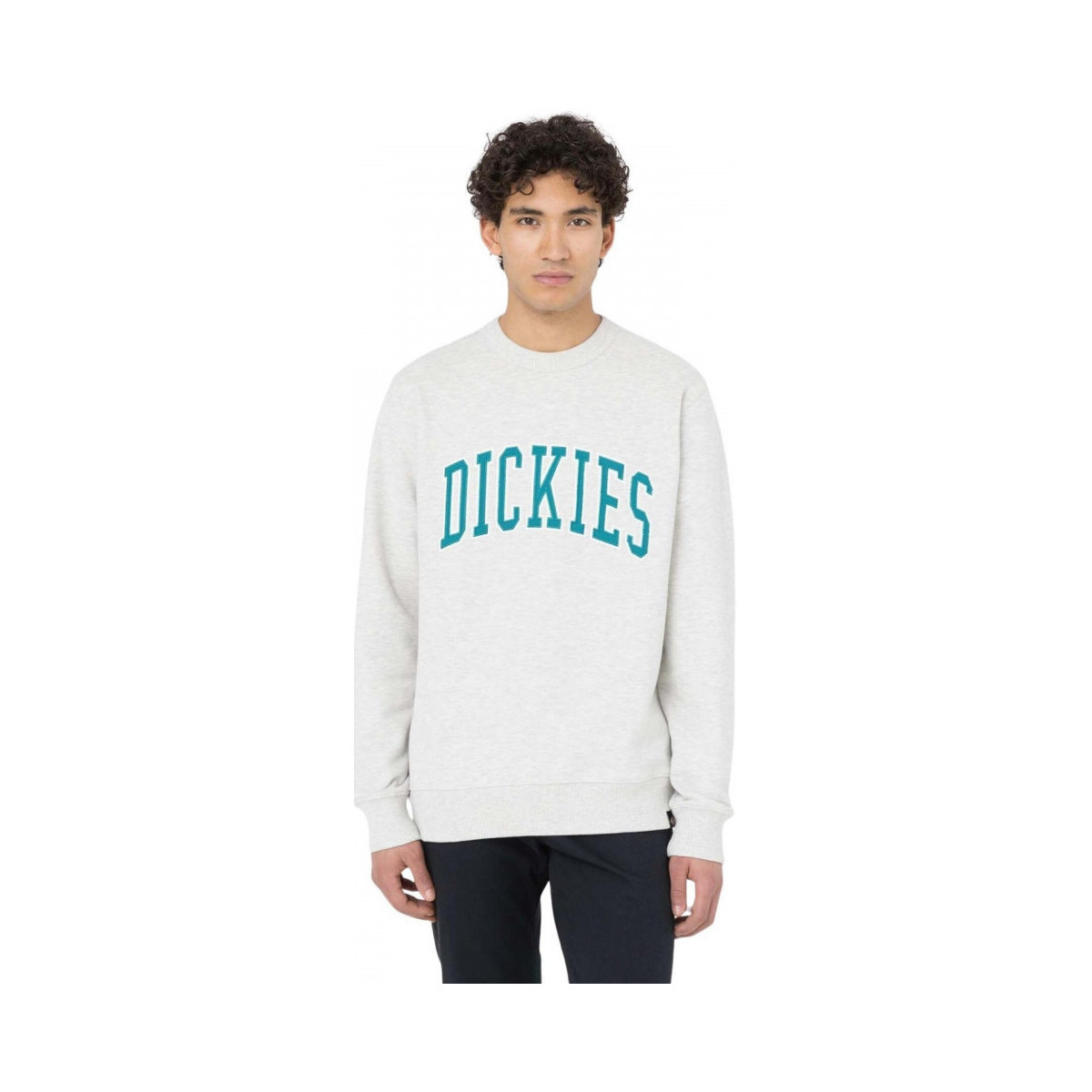Textiel Heren Sweaters / Sweatshirts Dickies Aitkin sweatshirt Grijs