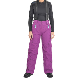Textiel Dames Broeken / Pantalons Peak Mountain Pantalon de ski femme APIX Violet