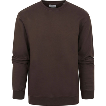 Textiel Heren Sweaters / Sweatshirts Colorful Standard Sweater Koffie Bruin Bruin