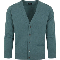 Textiel Heren Sweaters / Sweatshirts William Lockie Lamswol Vest Blauw Blauw