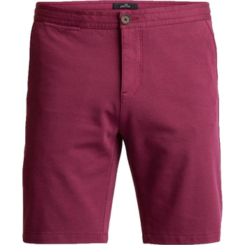 Textiel Heren Broeken / Pantalons Vanguard Chino Short Twill Tawny Multicolour