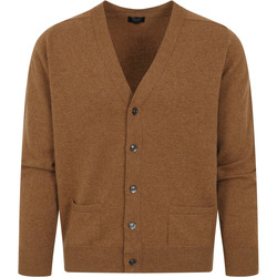 Textiel Heren Sweaters / Sweatshirts William Lockie Lamswol Vest Bruin Beige
