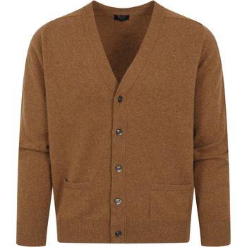 Textiel Heren Sweaters / Sweatshirts William Lockie Lamswol Vest Bruin Beige