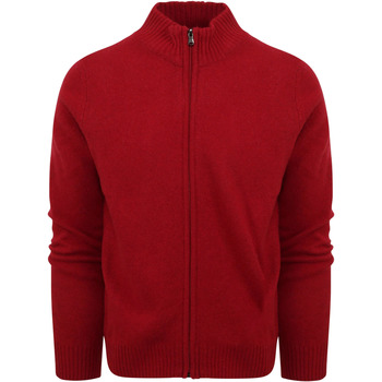 Textiel Heren Sweaters / Sweatshirts Suitable Vest Wol Blend Rood Rood