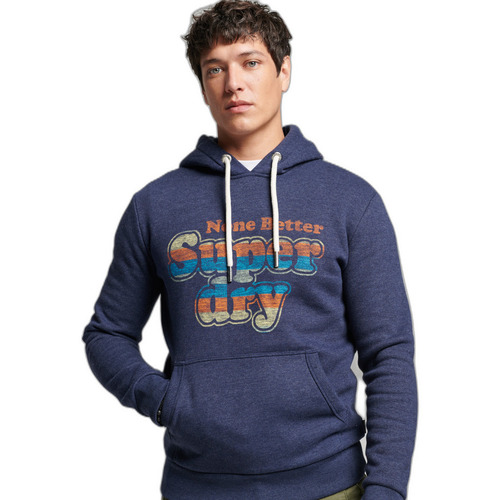 Textiel Heren Sweaters / Sweatshirts Superdry Sweatshirt à capuche classique  Vintage Cooper Blauw